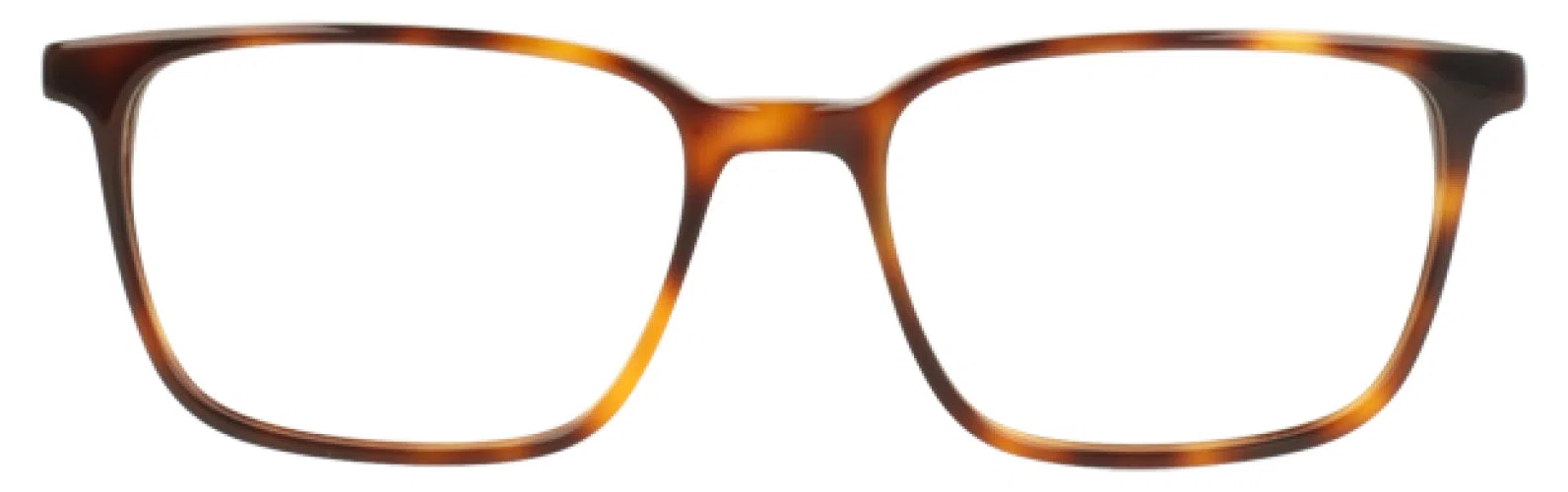 Argyleculture ARFARRO Eyeglasses - view 5